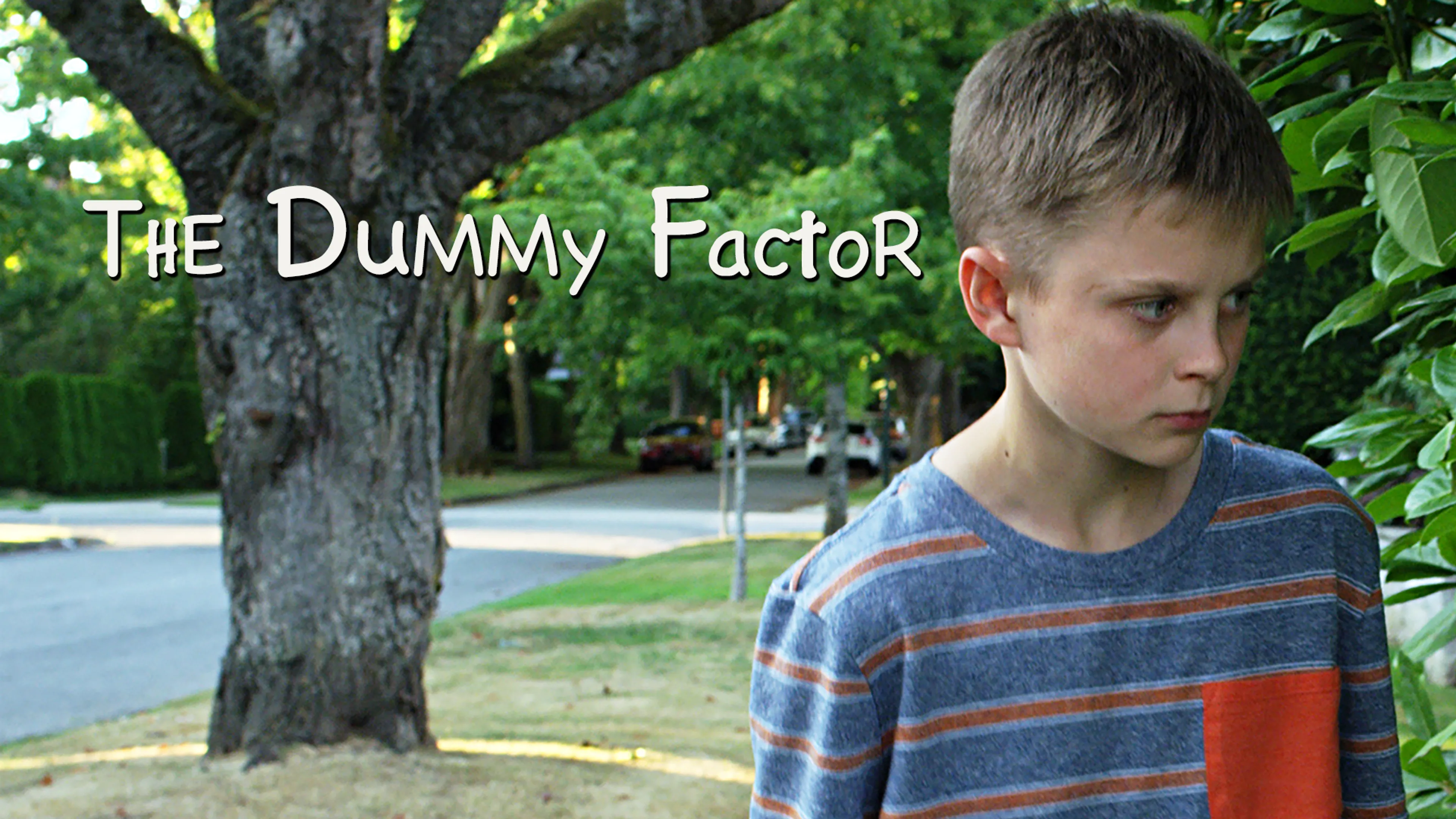 The Dummy Factor poster